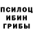 Галлюциногенные грибы Magic Shrooms asa Arystan
