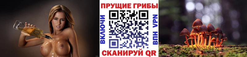 omg маркетплейс  Городец  Галлюциногенные грибы мицелий 